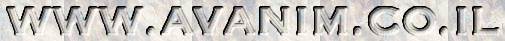 www.avanim.co.il